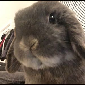 Meet your Posher, Nick